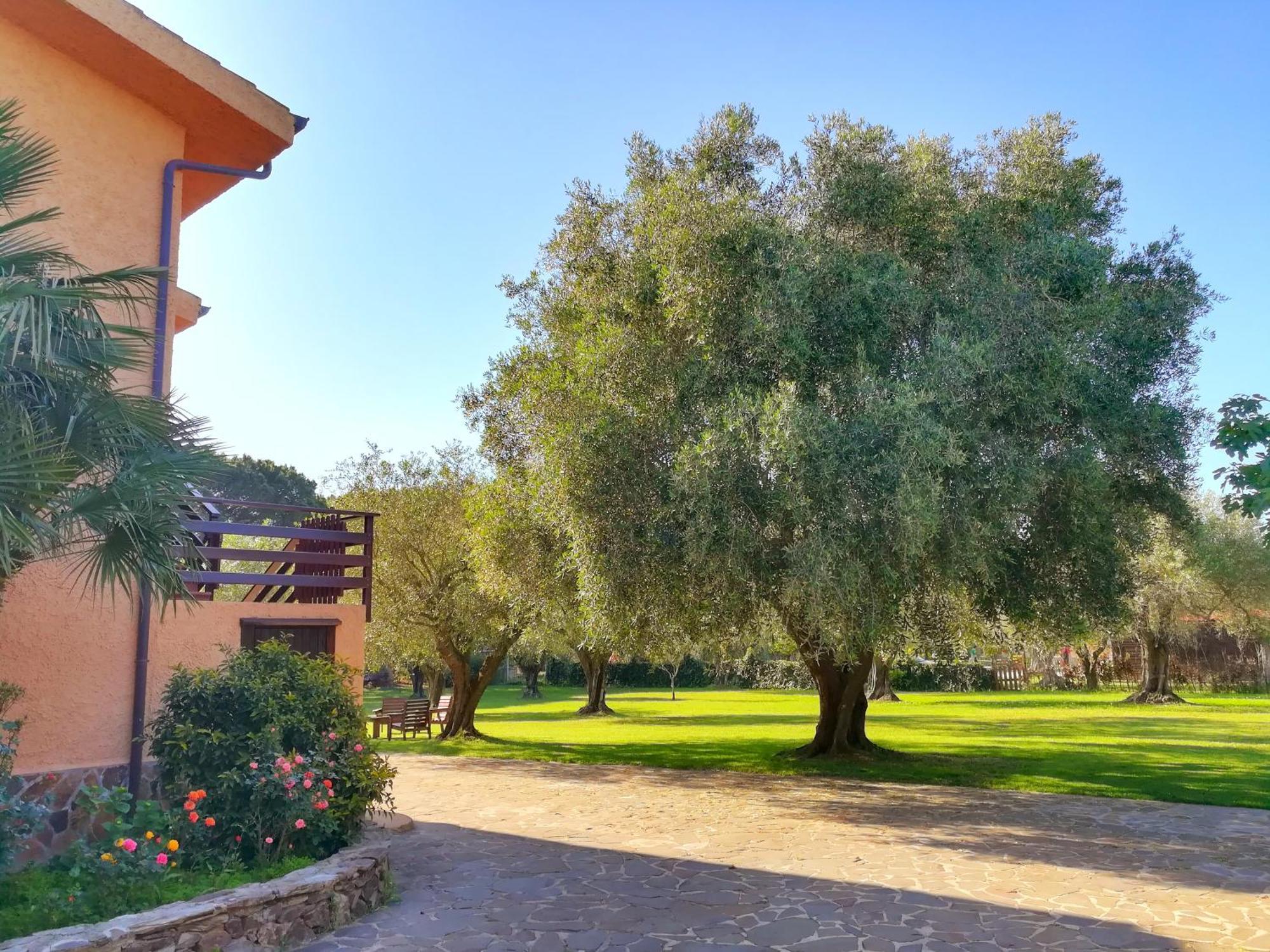 Bed and Breakfast Nuraghe Bianco Santa Maria la Palma Exterior foto