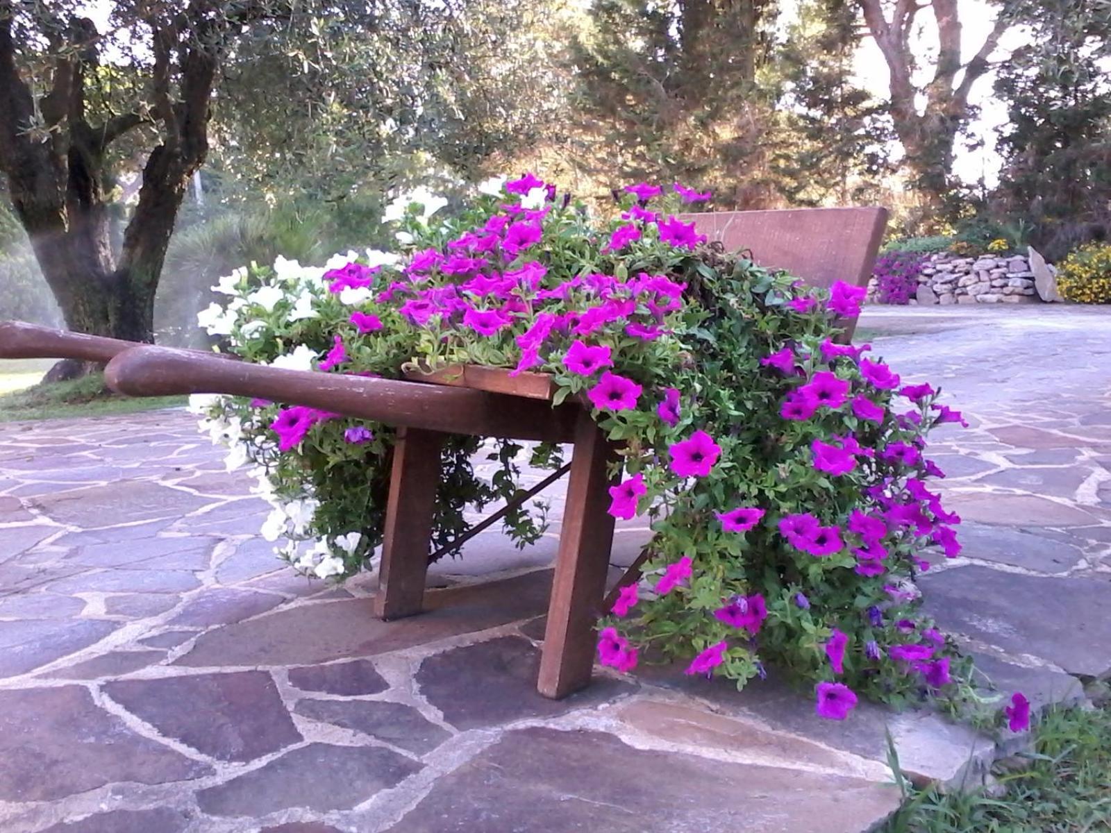 Bed and Breakfast Nuraghe Bianco Santa Maria la Palma Exterior foto